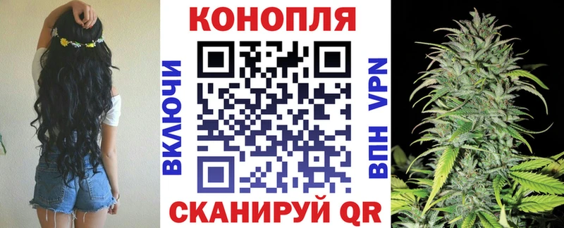 Конопля VHQ Щигры